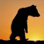 Profile picture of LonelyVegas Bear
